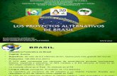 Modelos Alternativos Brasil