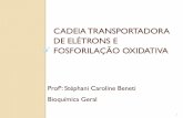 Cadeia transportadora de elétrons e fosforilação Oxidativa.pdf