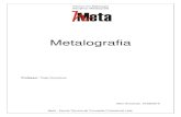 Apostila Curso Mecanico - Metalografia