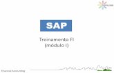Treinamento SAP FI Módulo I