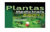 Plantas Medicinais de Uso Comum No Nordeste Do Brasil