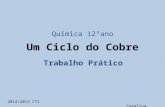 Carolina Silva - Ciclo de Cobre