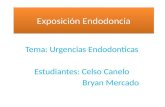 urgencias medicas en endodoncia