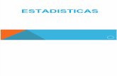 Estadística D.S. 055-2010-EM