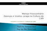 Manejo Sanitário - Café - Doenças e insetos-pragas.pdf