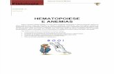 Hematopoiese e Anemias - Med Resumo