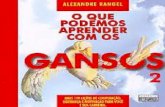 Alexandre Rangel • O Que Podemos Aprender Com Os Gansos 2 (1)
