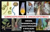 Aula_Introdução as Gimnos e Angiospermas