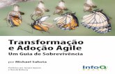 Adocao Transformacao Agile Minibook