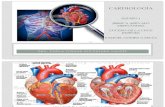 Cardiologia Completo