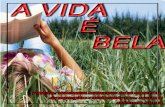 Livro: A Vida é Bela, Poeta Wagner Martins dos Santos