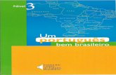 Nível 3 - Um Português Bem Brasileiro