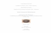 1 - Negócio de Trapaça - Caminhos e Descaminhos Na América Portuguesa (1700-1750)