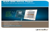 EAP-SIM White Paper (2010)