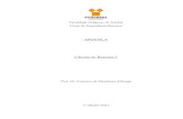 Apostila Cálculo de Reatores I.pdf