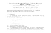 Relatório - Renato.pdf