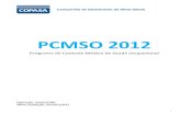 PCMSO 14ª Revisão Setembro 2012