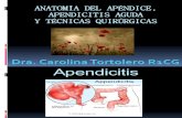 Anatomia Del Apendice y Tecnicas Quirurgicas