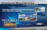 Guía Del Inversionista 2012-2013