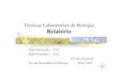 Laboratório Sobre a Reprodução Sexuada dos Seres Vivos - Reprodução Sexuada.pdf