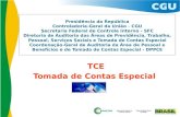 Curso TCE - 2013 - 1
