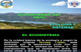 Clase Nº 3 - Ecosistemas Del Perú