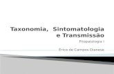 2 - Taxonomia e Sintomatologia