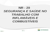 Nr 20 Petrobras-Integração