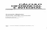 Armando Righetto - Calculo Diferencial e Integral I().pdf