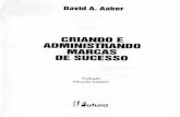 AAKER, David. Criando e Administrando Marcas de Sucesso. São Paulo Futura, 1996