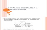 Catálisis Enzimática y Especificidad