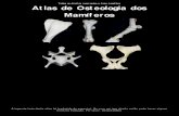 Atlas de Osteologia Animal Veterinaria - Jean Jonathas