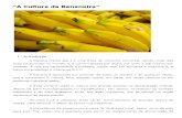 Cultura da Bananeira - EMBRAPA.pdf