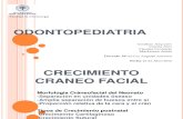 Morfologia Craneofacial Del Neonato