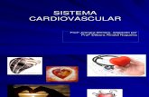 Sistema Cardiovascular Aula de CMl 2209