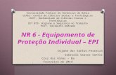 Apresentação NR-6 EPI (pra prova)