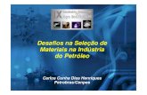 Apresent Petrobras Desafios Sele o Materiais v2