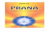 Atreya Prana - O Segredo Da Cura Pela Yoga