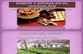 Diapositivas Fermentacion Del Cacao