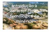 Introdução à caracterização tecnológica de minérios