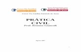 131846923-Pratica-Civil p 78