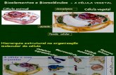 Bioelementos e Biomoléculas - AGUA E NUTRIENTES datashow