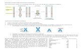 Estructura externa del cromosoma eucariótico