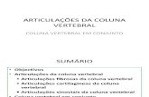 ARTICULAÇÕES DA COLUNA VERTEBRAL