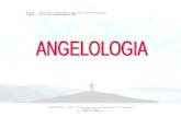 (12) Doutrina Dos Anjos (Angelologia)