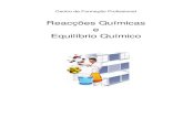 68747063 Manual de Formacao Modulo Reaccoes Quimicas e Equilibrio Quimico P