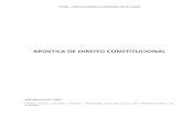Dr. Bruno Pontes - Direito Constitucional