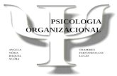 Psicologia Organizacional Final