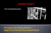 00c - Princípios do Direito Penal (1).pdf