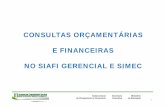SIAFI GERENCIAL Consultas Orçamentárias